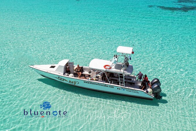 2 Tank Morning Dive: Scuba Diving in Cozumel - What Makes This Cozumel Trip Worth Considering