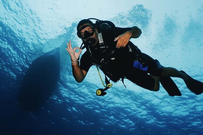 2 Tank Morning Dive: Scuba Diving in Cozumel - Getting to Marina Fonatur