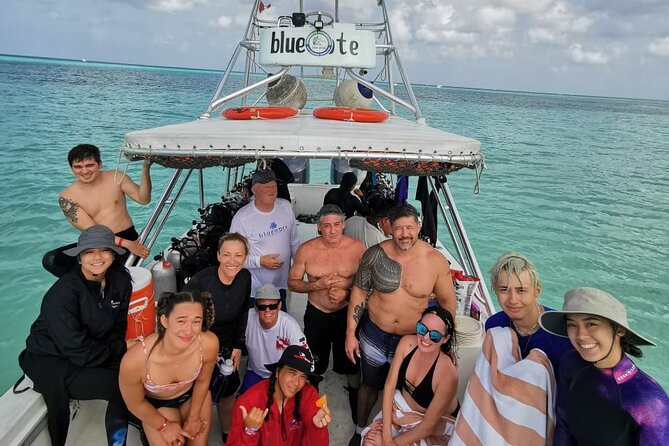 2 Tank Morning Dive: Scuba Diving in Cozumel - Should You Book It?