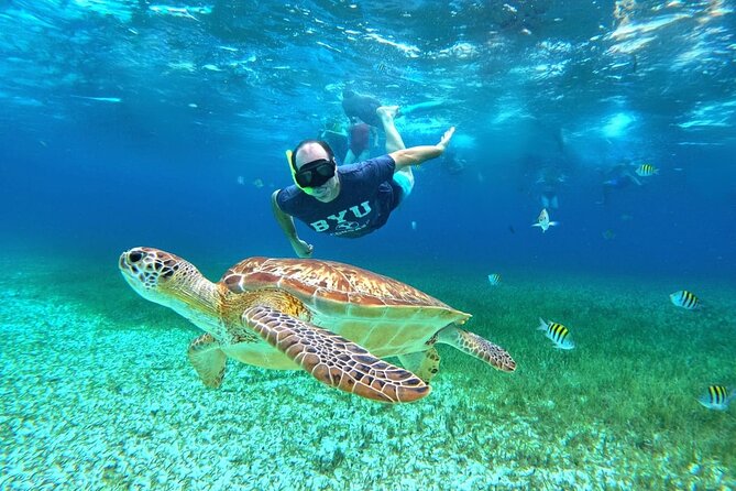4 Hour Cozumel Turtle Sanctuary Experience on a Luxury Catamarán - What to expect at the turtle sanctuary