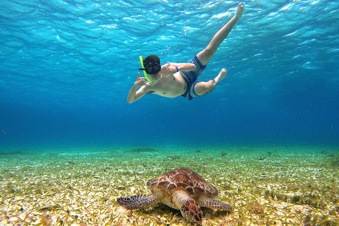 4 Hour Cozumel Turtle Sanctuary Experience on a Luxury Catamarán - The catamaran ride, crew and group feel