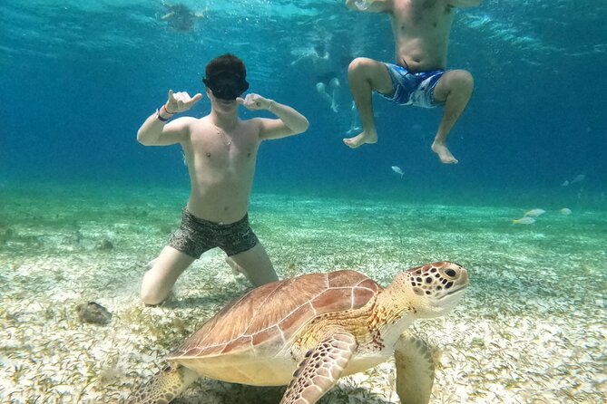 4 Hour Cozumel Turtle Sanctuary Experience on a Luxury Catamarán - Price and the fees that affect the value