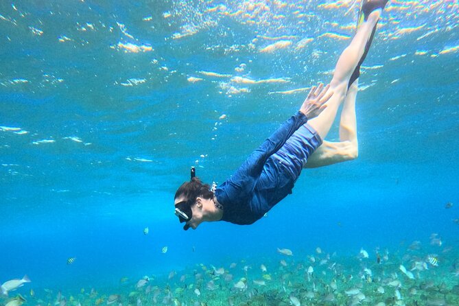 4 Hour Cozumel Turtle Sanctuary Experience on a Luxury Catamarán - Meeting up and getting back to port