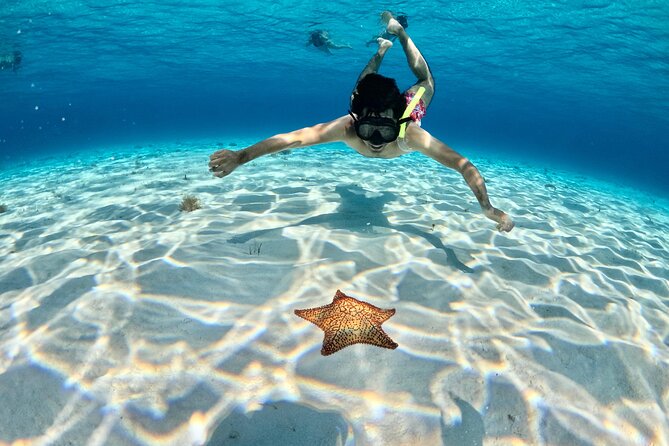 4 Hour Cozumel Turtle Sanctuary Experience on a Luxury Catamarán - Weather, route changes and realistic expectations