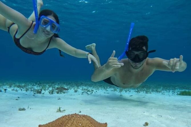 4 hours of shared snorkeling to El Cielo - Four hours from reef to sandbar