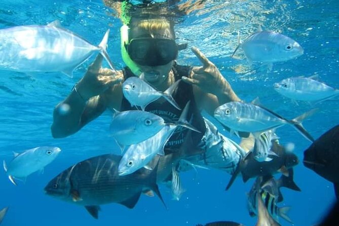 4 hours of shared snorkeling to El Cielo - Guides, group size and safety