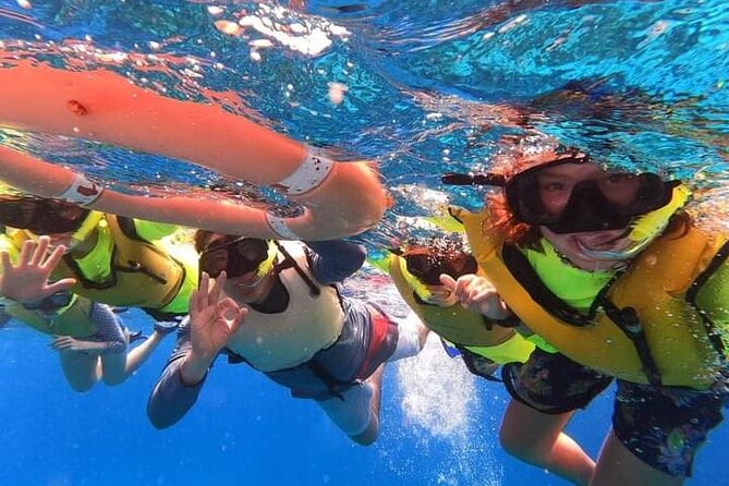 4 hours of shared snorkeling to El Cielo - What $53.77 buys, and what it does not