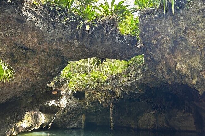 Atv and Cenote All Terrain - Who should book this Cozumel ATV outing?