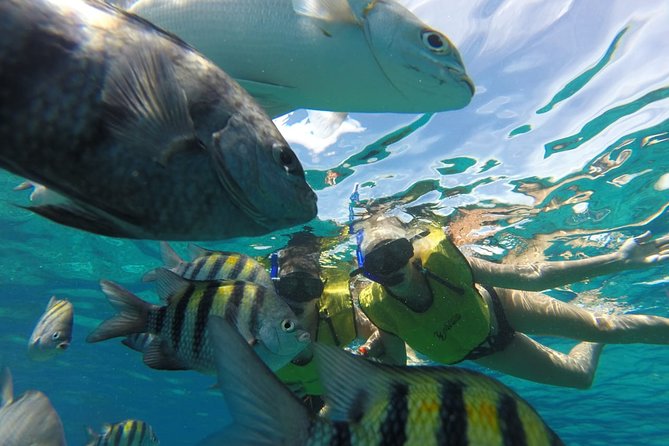 ATV Mud Kicking and Snorkeling by Boat in Cozumel - FAQ