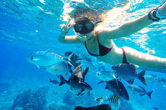 Best Cozumel Day Pass San Francisco Beach Club - Who should book this Cozumel beach day?