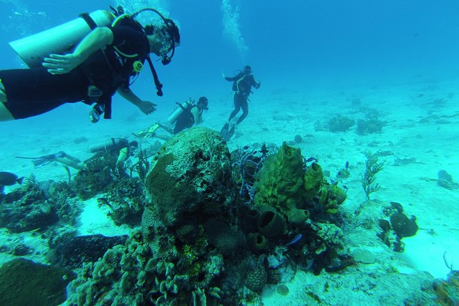 Chankanaab Cozumel Scuba Diving - At a glance