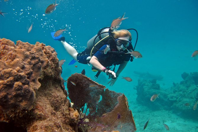 Chankanaab Cozumel Scuba Diving - Who should book this Cozumel experience?