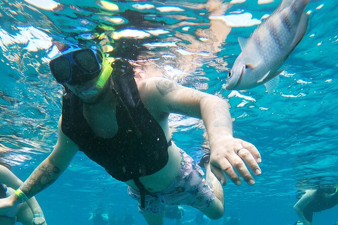 Chankanaab Park Admission + Snorkeling - Who will enjoy this Cozumel outing?