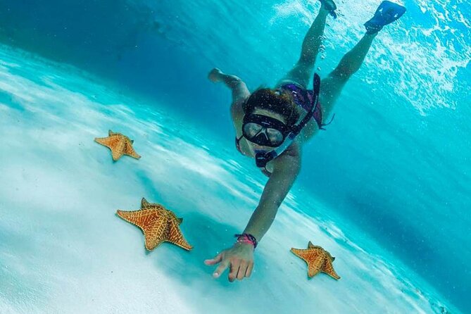Cielito Cozumel: Mexican Caribbean Snorkeling Tour - What the $95 Fare Covers