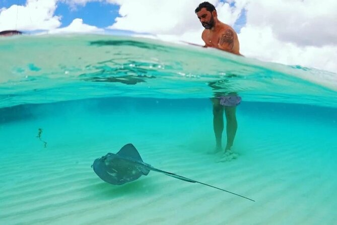 Cielito Cozumel: Mexican Caribbean Snorkeling Tour - Timing, Meeting Point and Cruise-Schedule Cautions