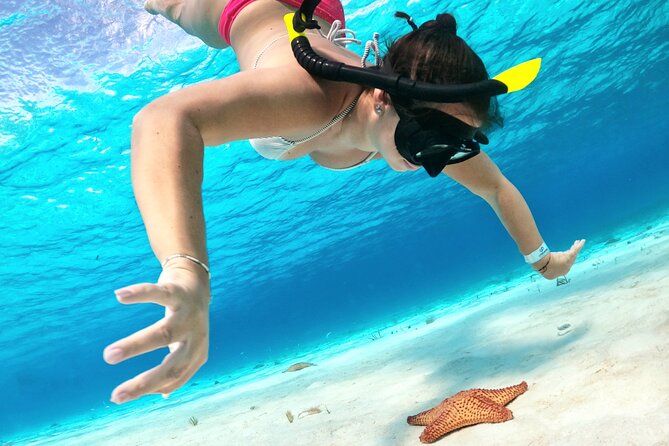 Colombia, Palancar & Cielo Cozumel Snorkel Tour - What the four hours feel like
