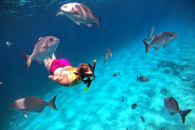 Colombia, Palancar & Cielo Cozumel Snorkel Tour - Meeting up and timing your day