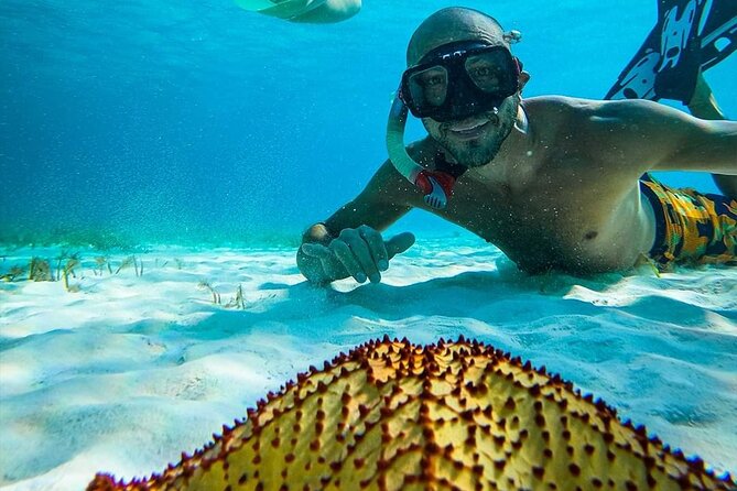 Colombia, Palancar & Cielo Cozumel Snorkel Tour - Who should book this Cozumel snorkel trip?