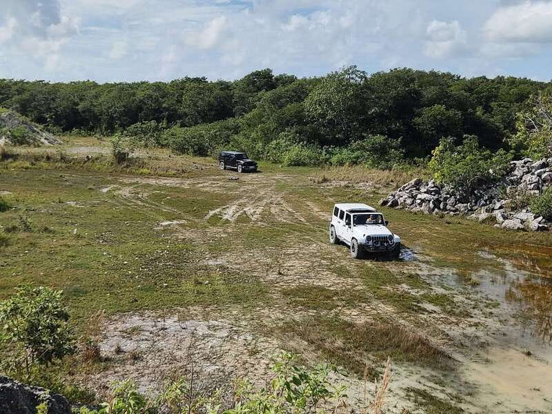 Cozumel: 5-Hour Private Caves and Ruins Tour with Lunch - A Private Route From Tequila to the Jungle