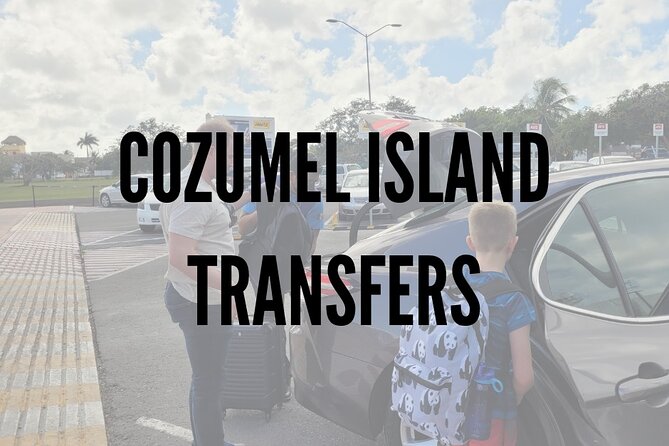 Cozumel Airport & Cruise Terminal Transfers - Who should book this transfer?