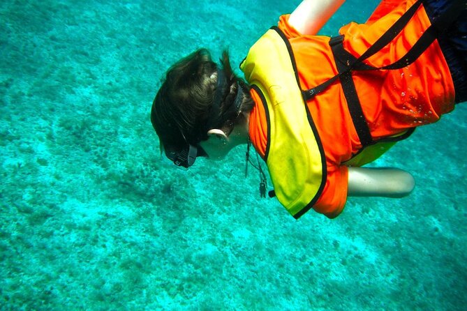 Cozumel Buggy Tour: Snorkeling , Otoch Mayan Experience & Lunch - FAQ