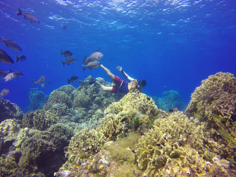Cozumel: Catamaran, El Cielo Bay & Palancar Reef with Lunch - Who should book this Cozumel trip?