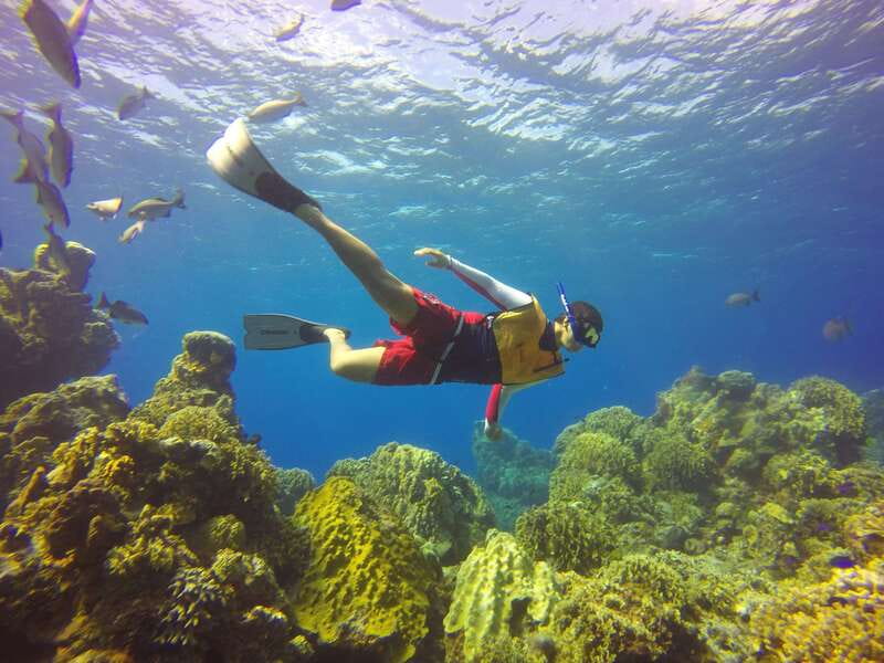 Cozumel: Catamaran, El Cielo Bay & Palancar Reef with Lunch - Palancar Reef: a short window over a big reef