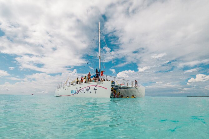 Cozumel Catamaran Snorkeling Tour & lunch - El Cielo Bay, stars of the shallow water