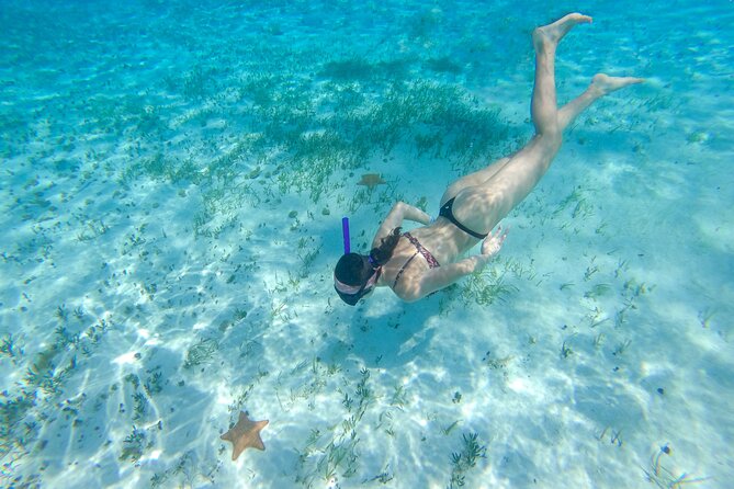 Cozumel Catamaran Snorkeling Tour & lunch - Should you book it?