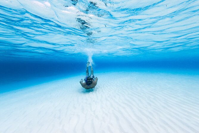 Cozumel Catamaran Snorkeling Tour & lunch - Palancar Reef and the guided drift snorkel