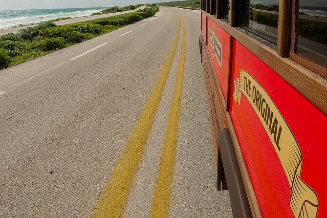Cozumel City Tour By Trolley - Finding the trolley at your pier
