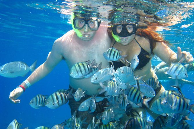 Cozumel Coral Reef Snorkeling by Glass Bottom Boat with Guide - Group size, schedule and booking flexibility