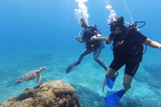 Cozumel: Discover Scuba Diving - Starting at Marina FONATUR