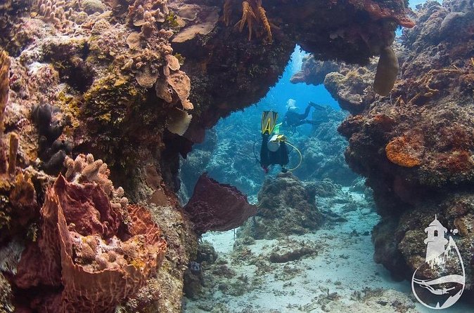 Cozumel: Discover Scuba Diving - Lunch, fruit, and a pause aboard