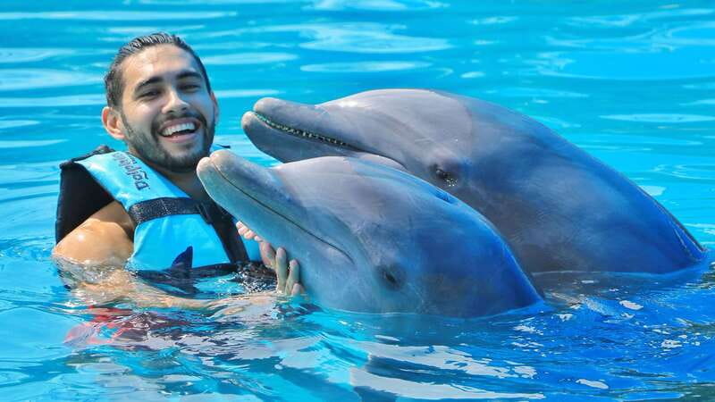 Cozumel: Dolphin Royal Connection and Manatee Interaction - What the 50-minute animal program actually includes