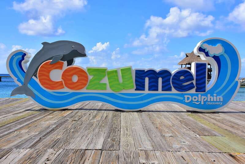 Cozumel: Dolphin Royal Connection and Manatee Interaction - Chankanaab Park brings a full visit around the swim