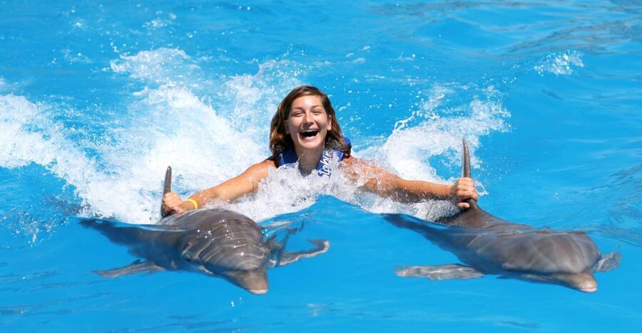 Cozumel: Dolphin Royal Connection and Manatee Interaction - Lunch and the open bar add practical value