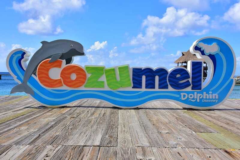 Cozumel: Dolphin Royal Connection and Manatee Interaction - Height rules, prohibited items, and other limits