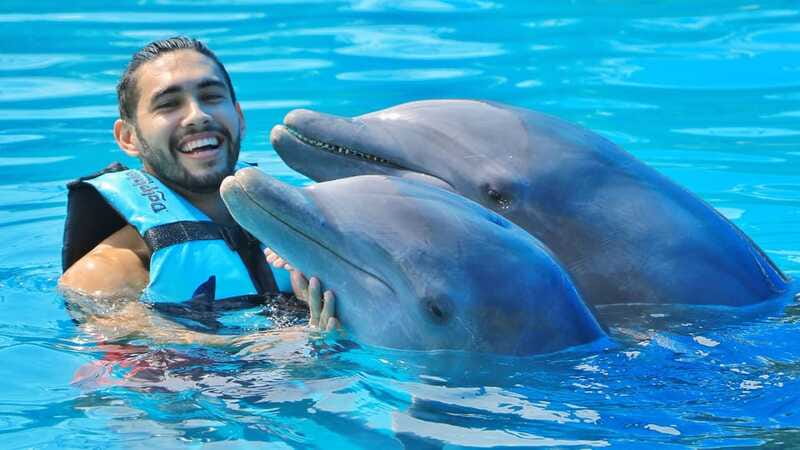 Cozumel: Dolphin Royal Connection and Manatee Interaction - Who will get the most from this Cozumel outing?