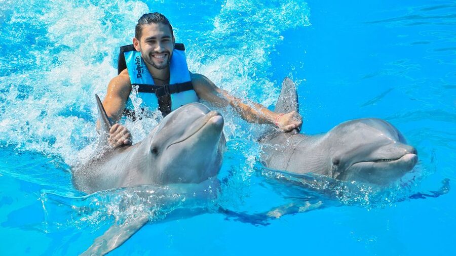 Cozumel: Dolphin Royal Connection and Manatee Interaction - Should you book it?
