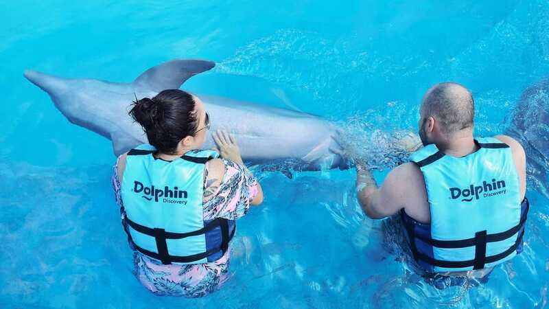 Cozumel: Dolphin Royal Connection and Manatee Interaction - FAQ