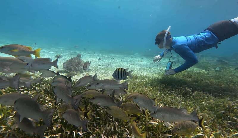Cozumel, El Cielo: 4-Hour Private Tour - FAQ