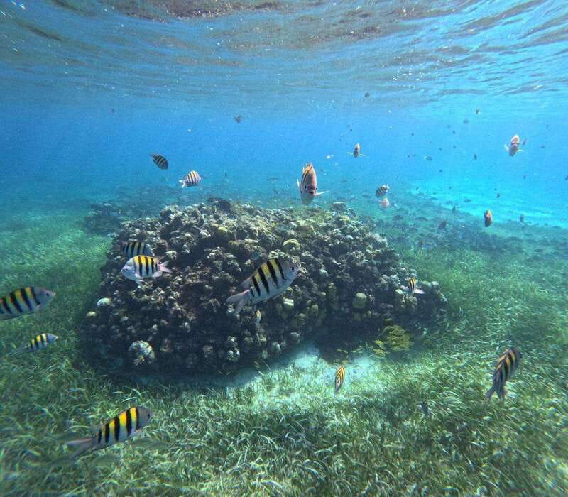 Cozumel, El Cielo: 4-Hour Private Tour - A private route, not a fixed checklist