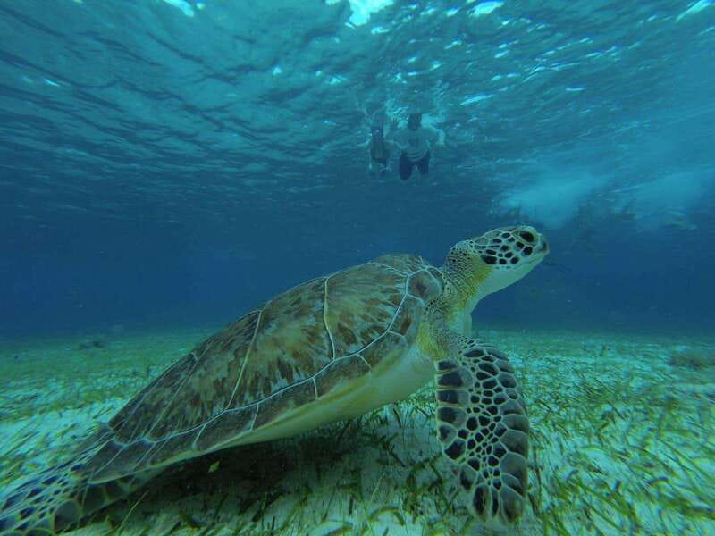 Cozumel, El Cielo: 4-Hour Private Tour - Should you book this El Cielo tour?