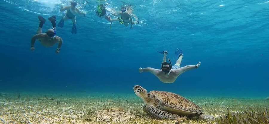 Cozumel, El Cielo: 4-Hour Shared Snorkeling Tour - What to know before you book