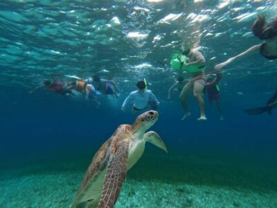 Cozumel, El Cielo: 4-Hour Shared Snorkeling Tour