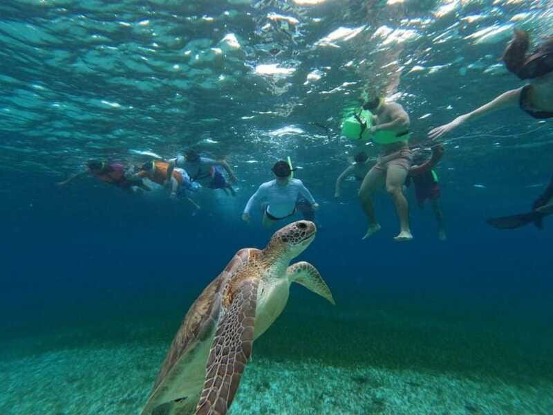 Cozumel, El Cielo: 4-Hour Shared Snorkeling Tour - A note on pace and safety