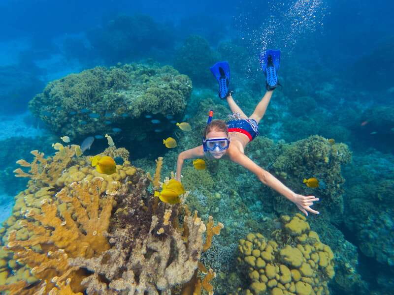 Cozumel: El Cielo, Palancar Reef, and Beach Party with Food - The appeal of El Cielo’s shallow sandbar