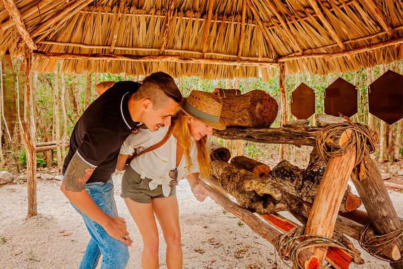 Cozumel: General Entrance to Mayan Bee Sanctuary - Inside the Meliponary: A Colony at Work