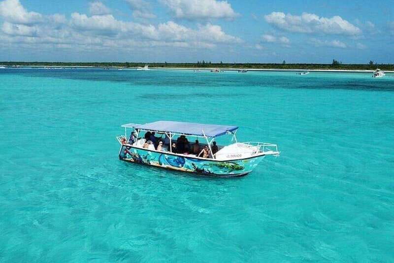 Cozumel: Glass-bottom Boat Snorkeling Adventure - Palancar Reef: another reef perspective